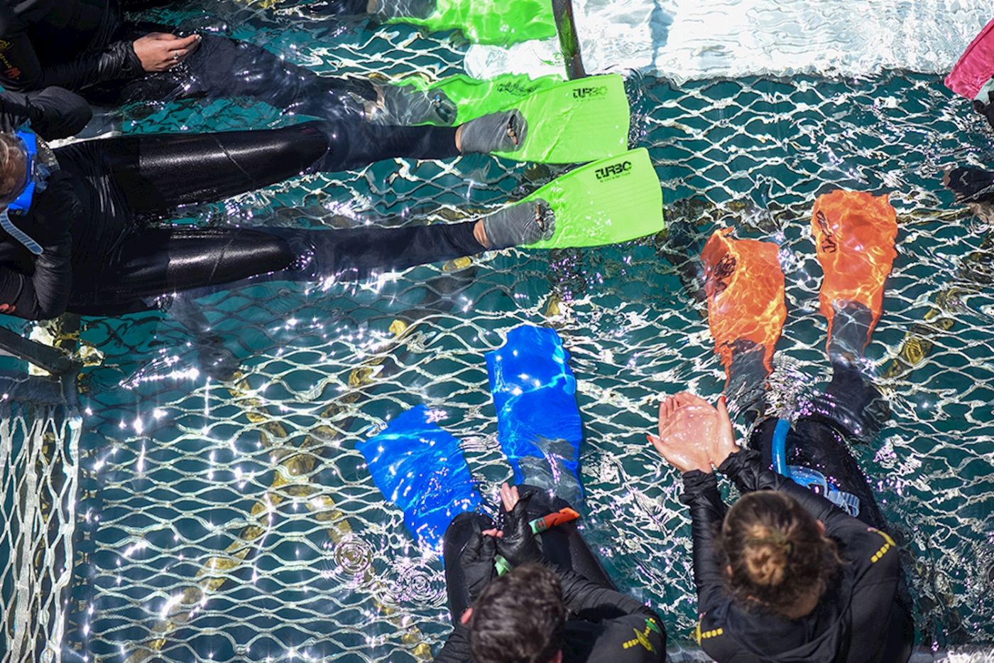 Reef Magic Pontoon + Guided Snorkel Tour/Safari - ex Reef Fleet