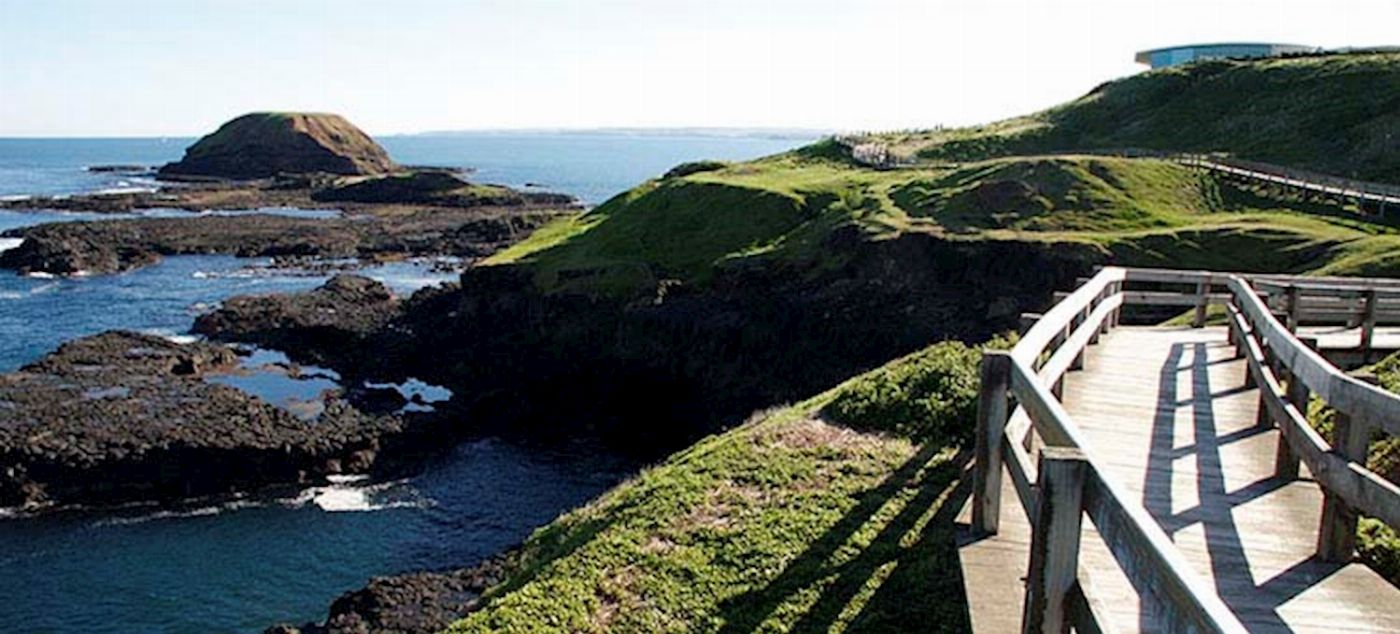 Oceania Tours Phillip Island and Moonlit Sanctuary (English M3)