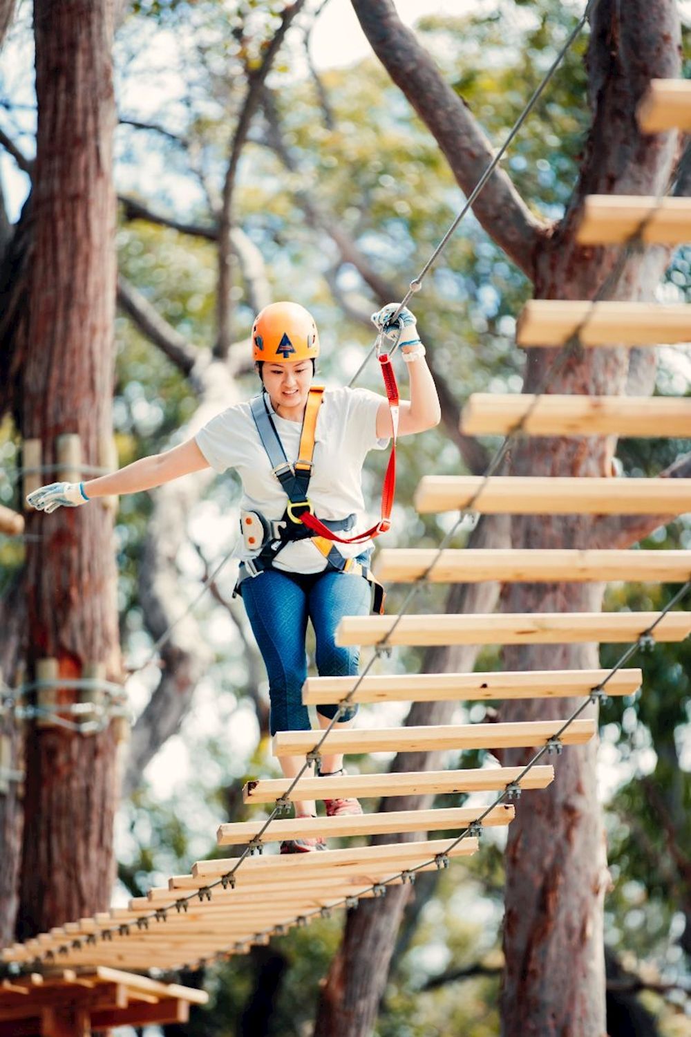 Treetops Adventure The Hills Tree Ropes Course
