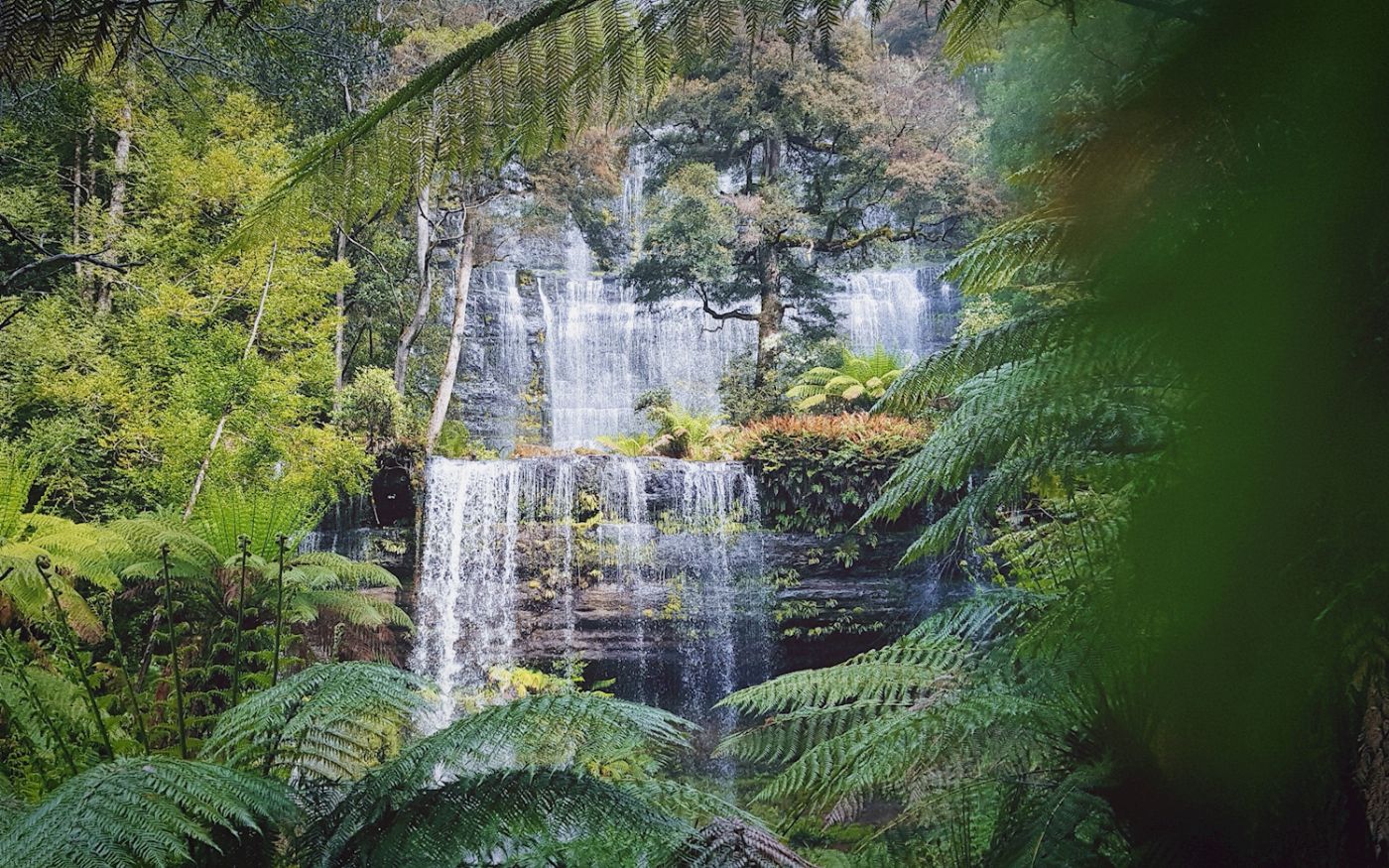 Under Down Under Comfort Tour - Tasmanian Discovery - Single Room