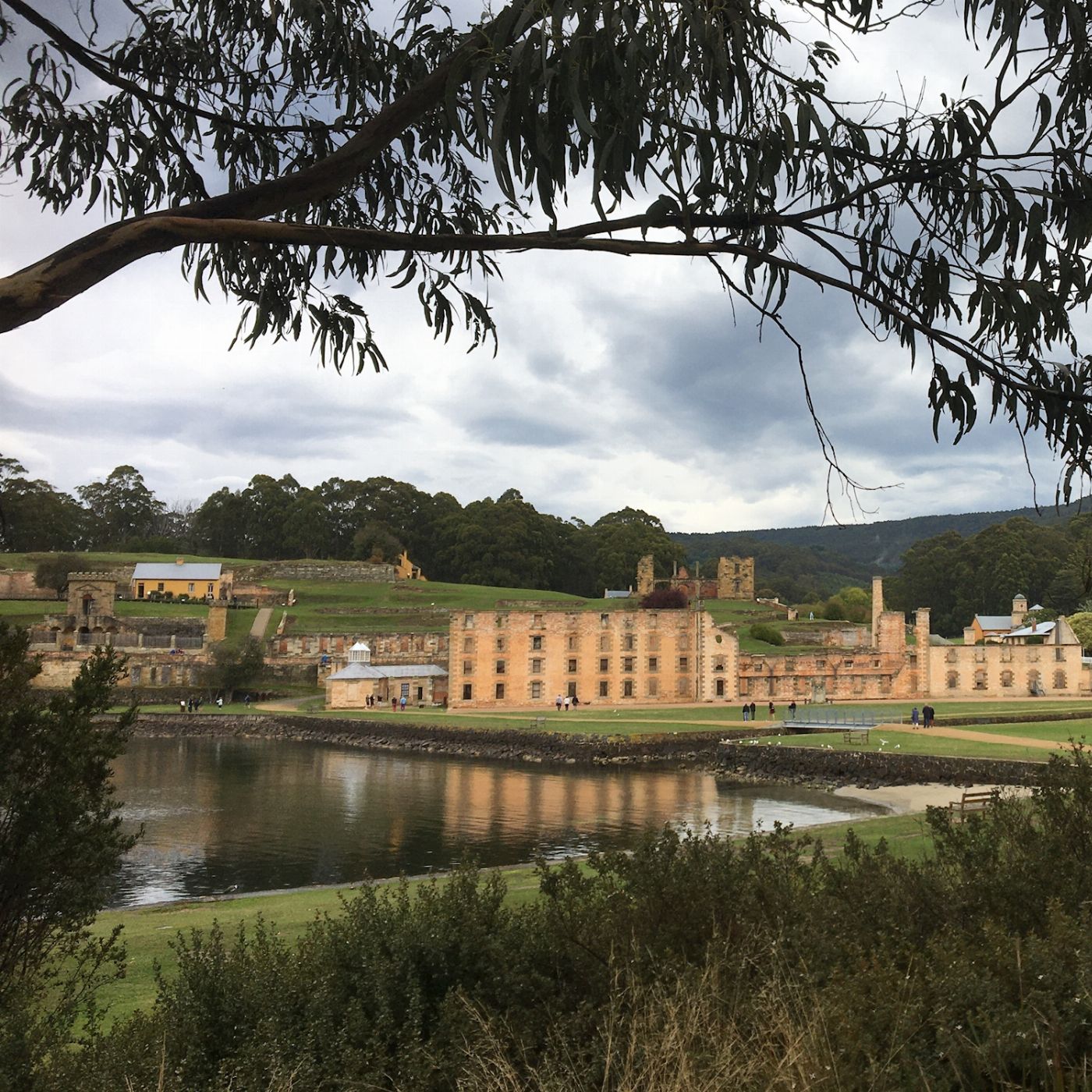 Under Down Under Comfort Tour - Tasmanian Discovery - Single Room