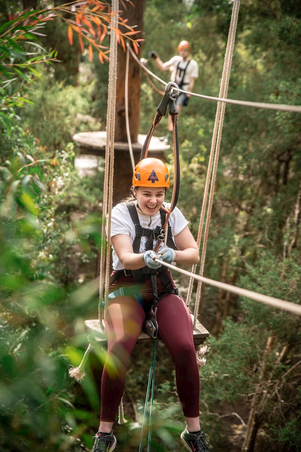 Treetops Adventure Canberra Tree Ropes Course