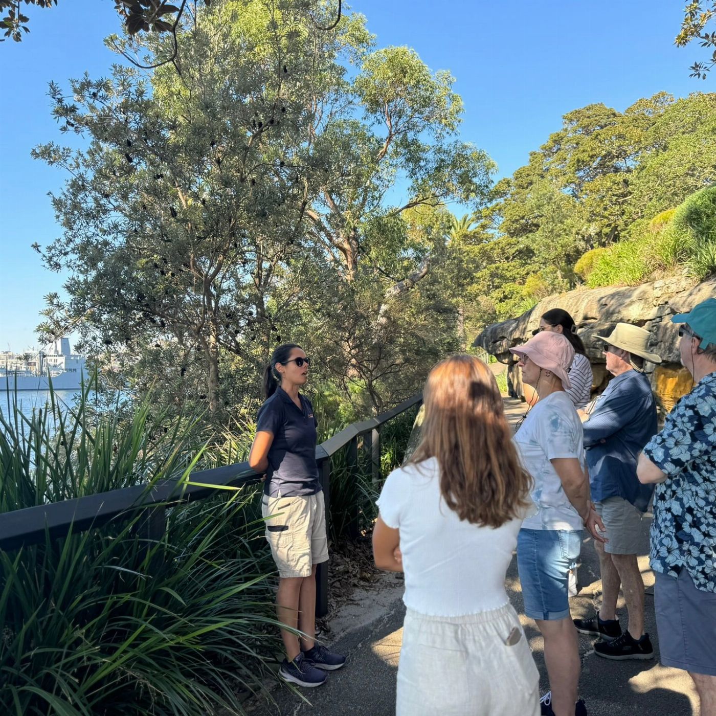 Anderson's Tours Sydney Iconic Tour