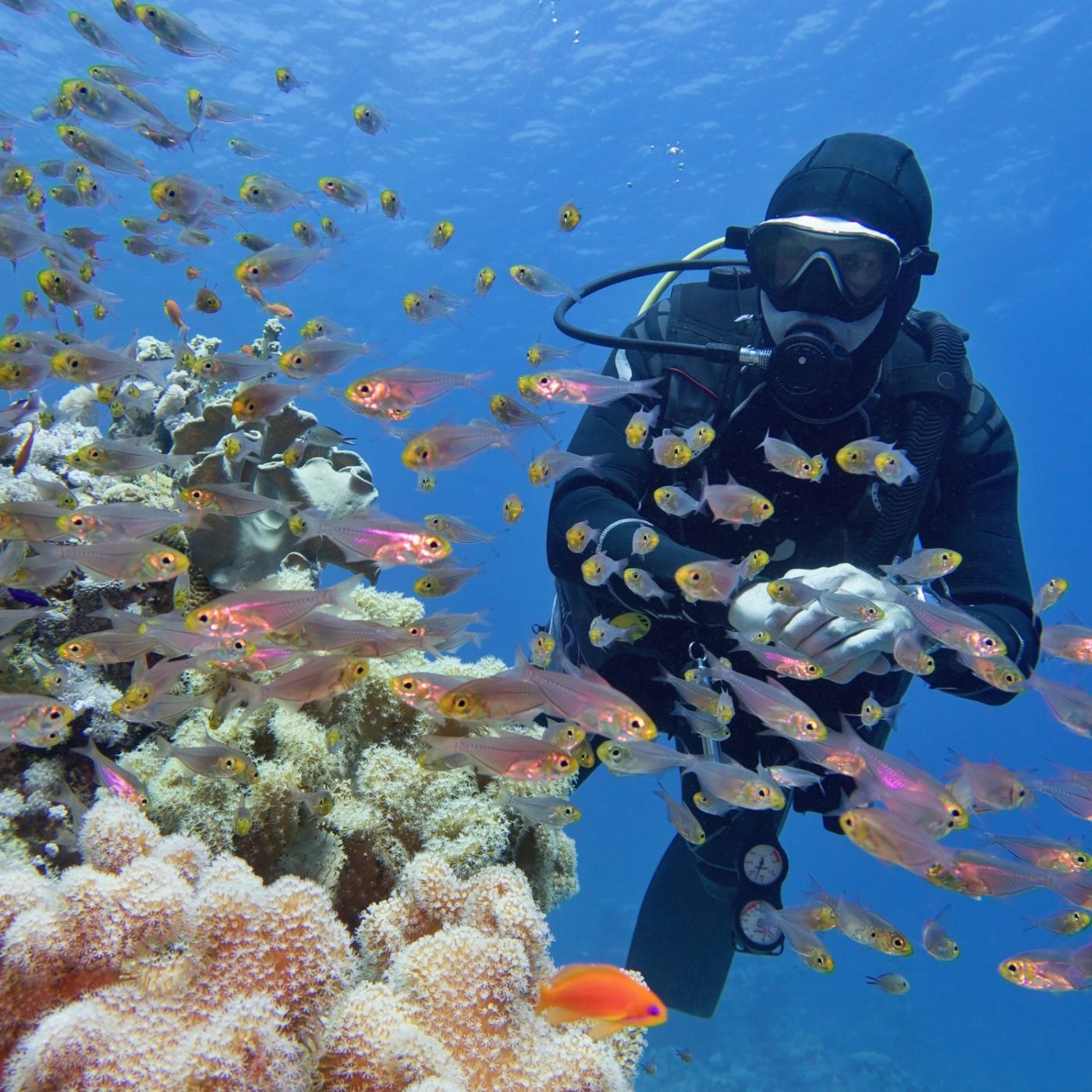 Explore Whitsundays Summer Jo - 3D/3N