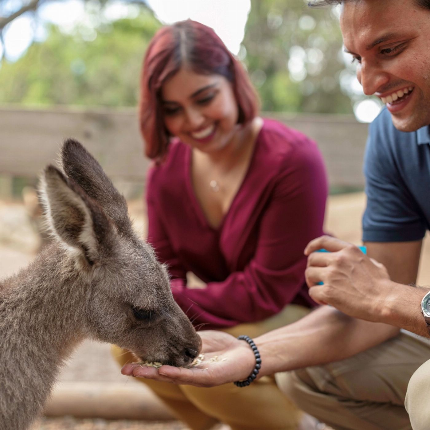 Colourful Collective Travel Blue Mountains All-inclusive Signature Day Tour (FLEXIBLE fare)