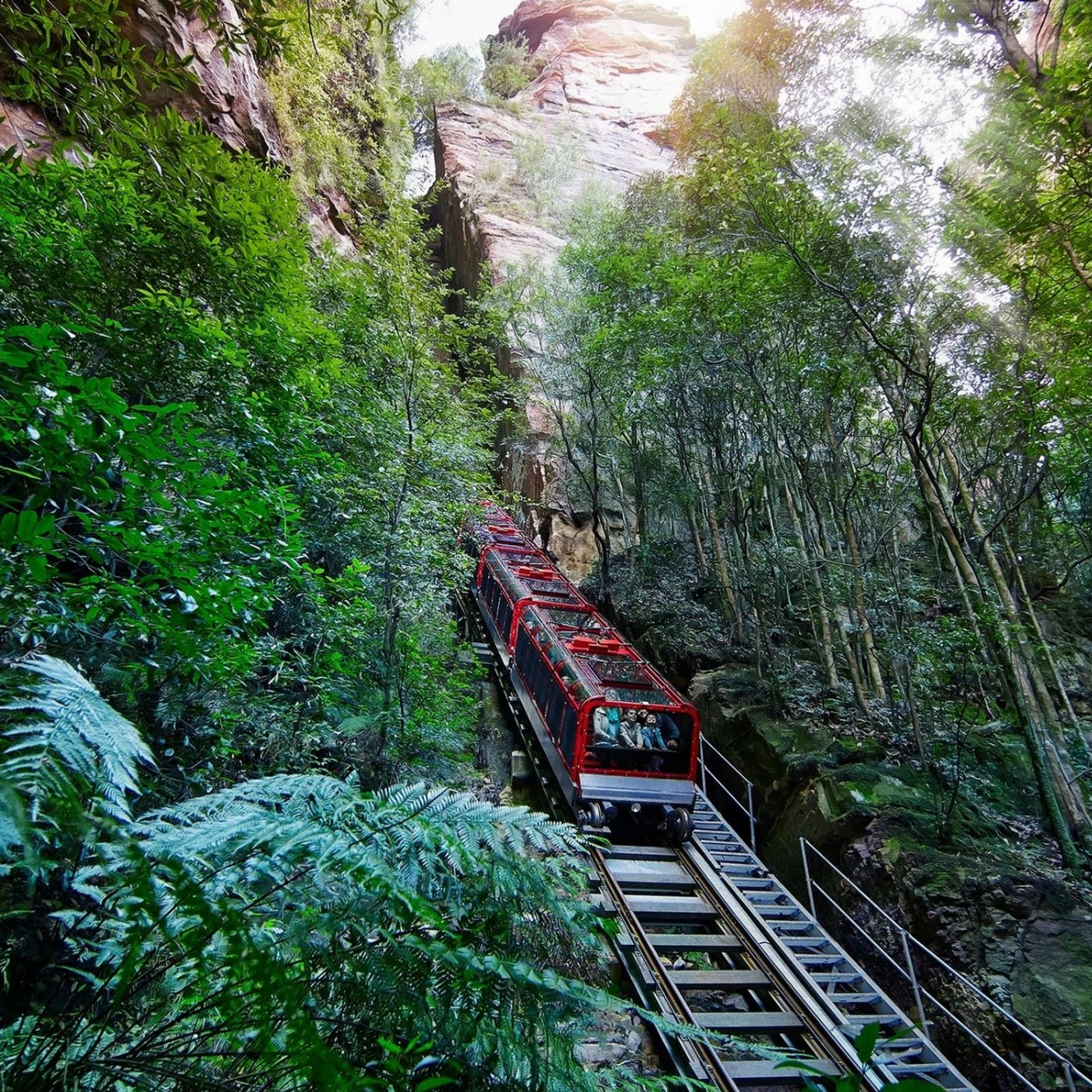 Colourful Collective Travel Blue Mountains All-inclusive Signature Day Tour (SAVER fare - non refundable)