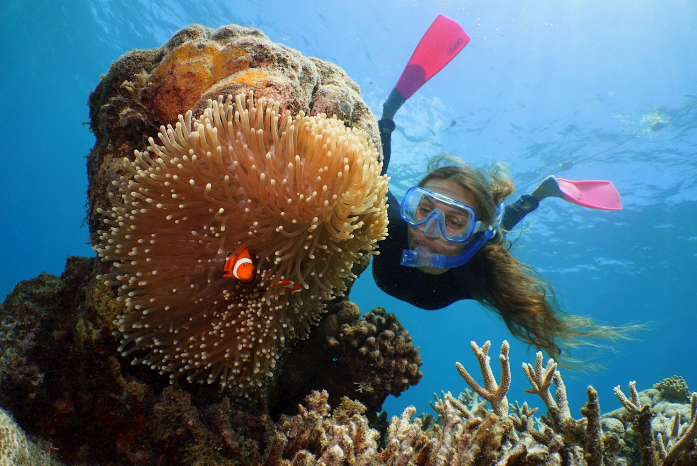 Quicksilver Cruises Quicksilver Agincourt Reef Pontoon Tour (+ 1 Certified Dive)