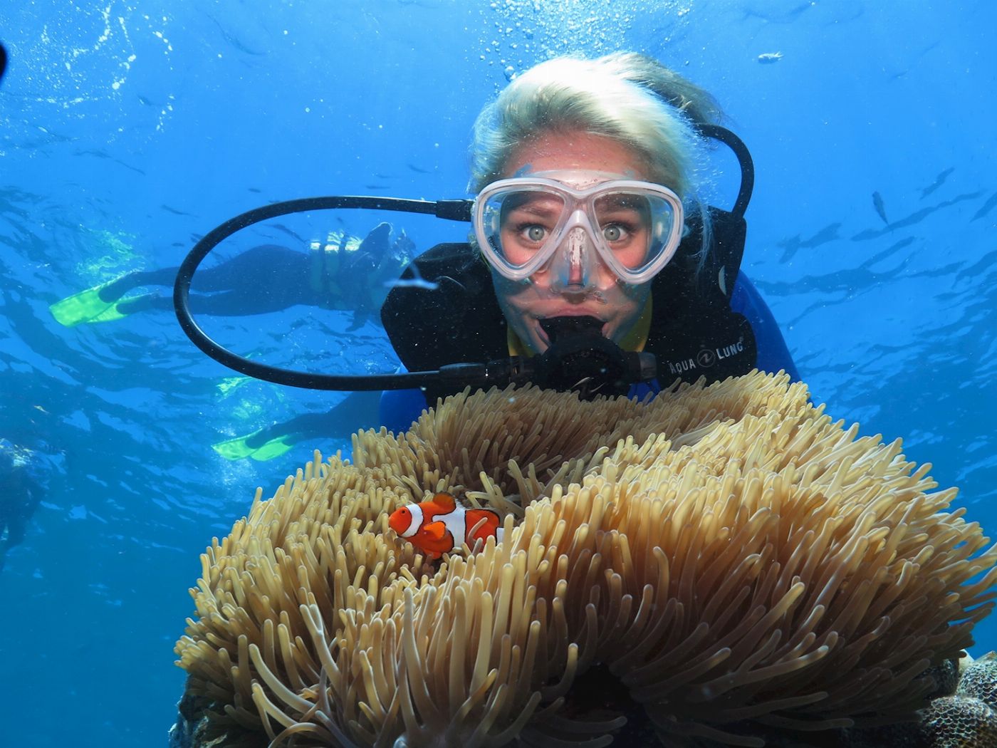 Quicksilver Cruises Quicksilver Agincourt Reef Pontoon Tour (+ 1 Introductory Dive)