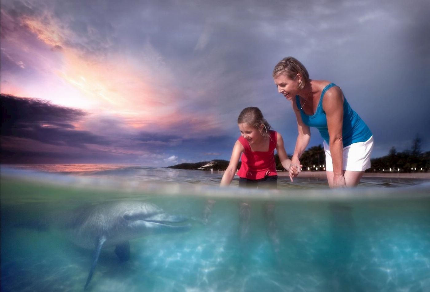 Tangalooma Island Resort - ATV Quad Bike Day Cruise with Dolphin Feeding