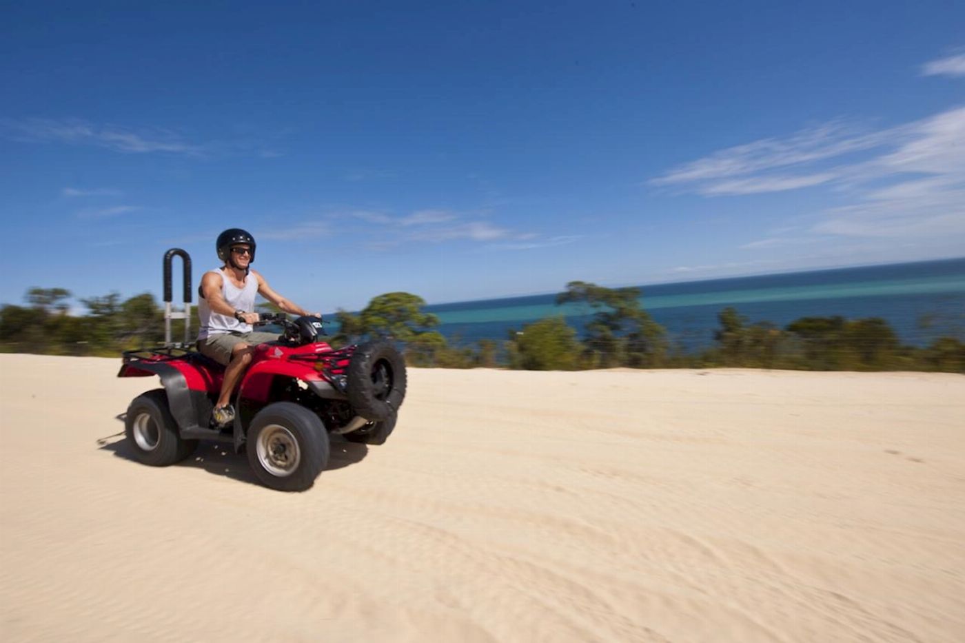 Tangalooma Island Resort - ATV Quad Bike Day Cruise with Dolphin Feeding