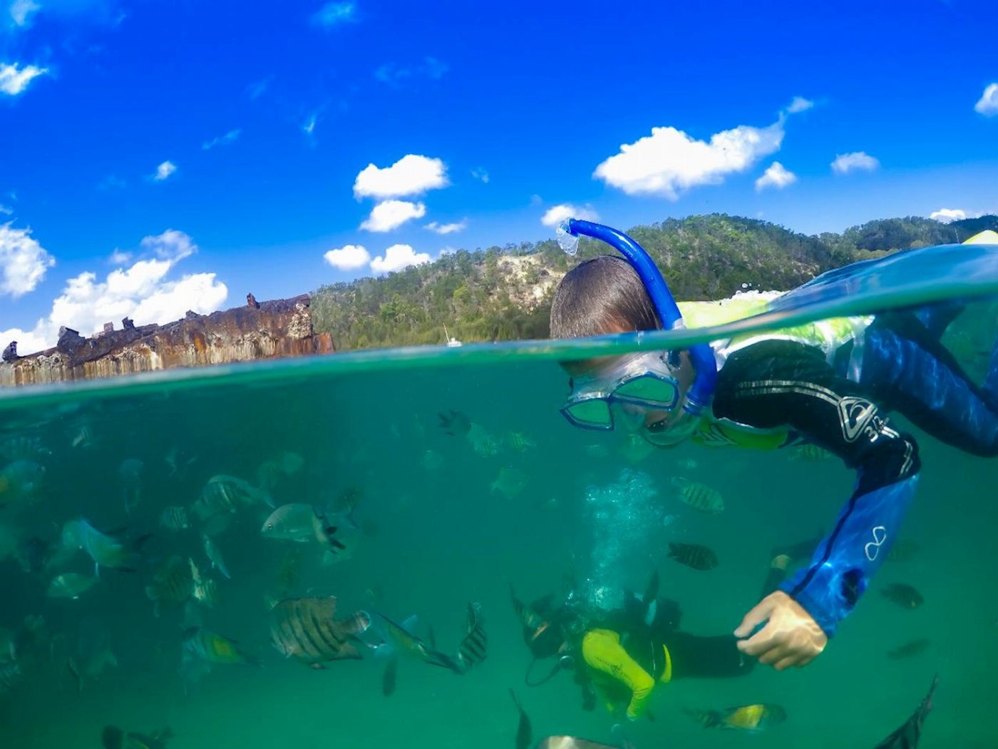 Tangalooma Island Resort - Snorkel The Wrecks Day Tour with Dolphin Feeding