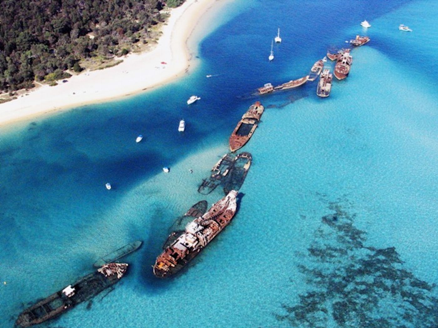 Tangalooma Island Resort - Snorkel The Wrecks Day Tour with Sunset Cocktail