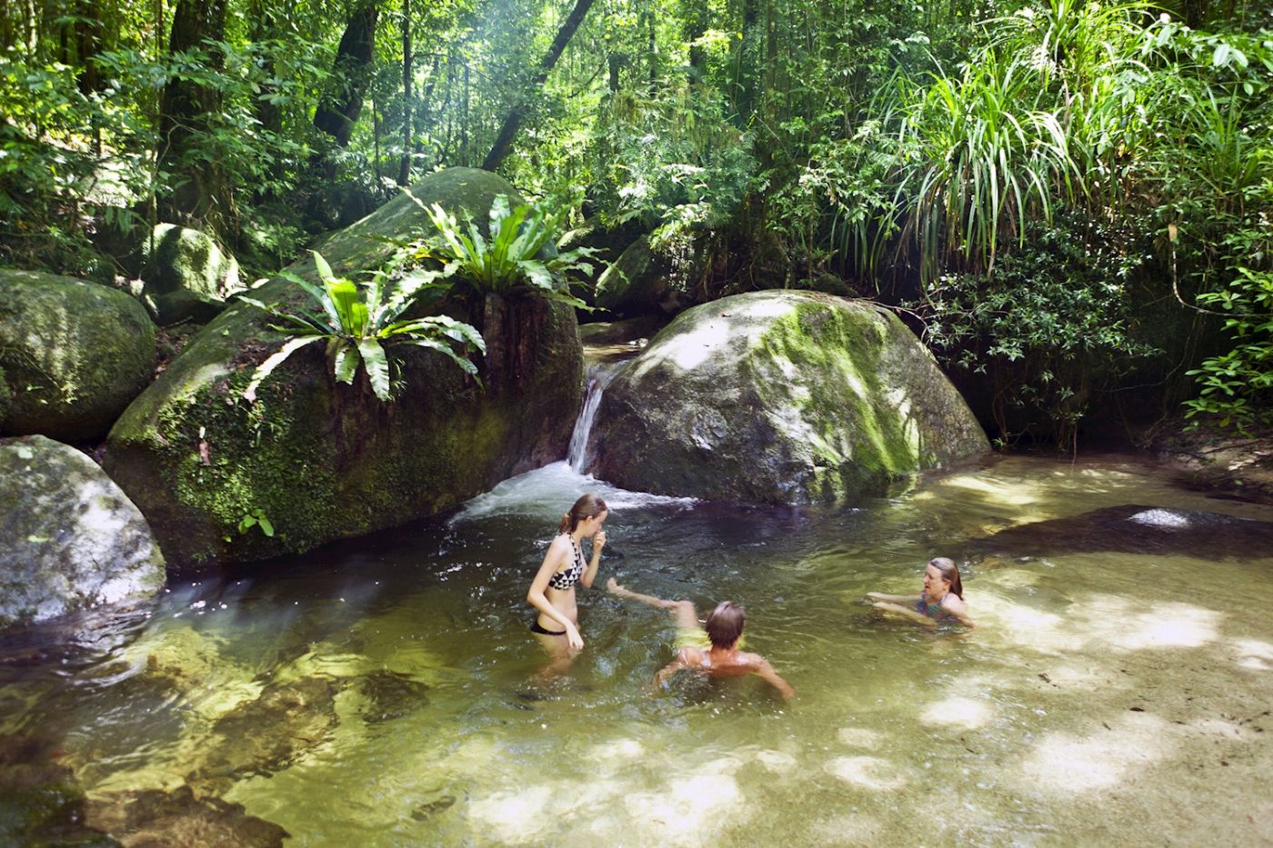 Tropic Tours Mossman Gorge Daintree Experience