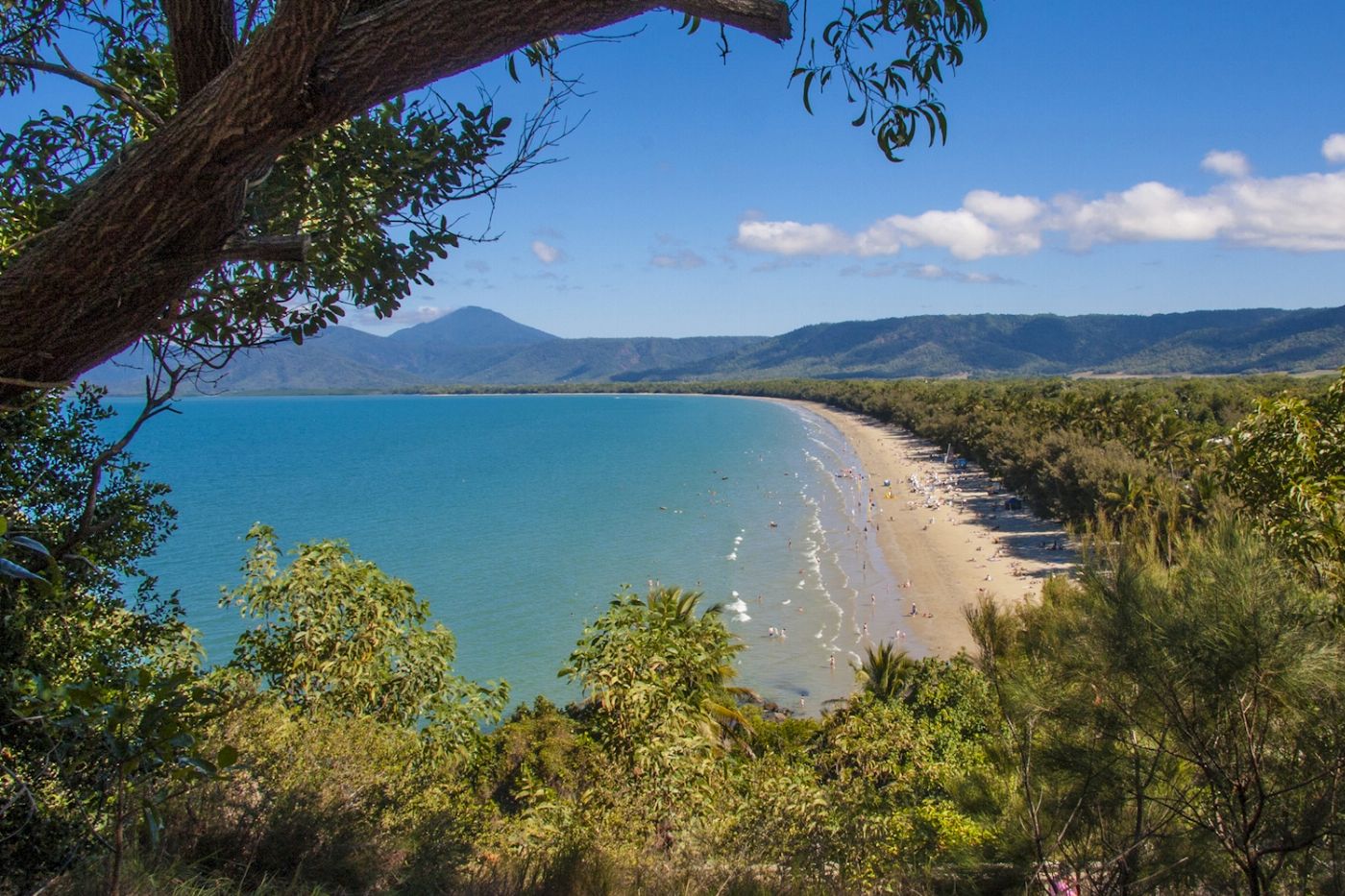 Tropic Tours Mossman Gorge Daintree Experience