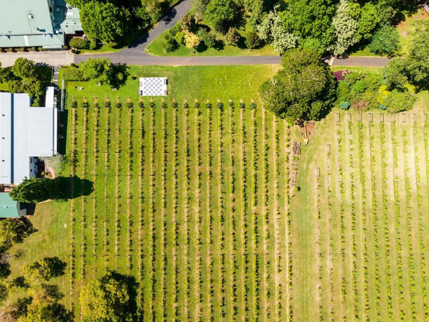 Pineapple Tours Wine Tasting Tour + Hop on Hop off Shuttle - Without lunch Included - From Brisbane