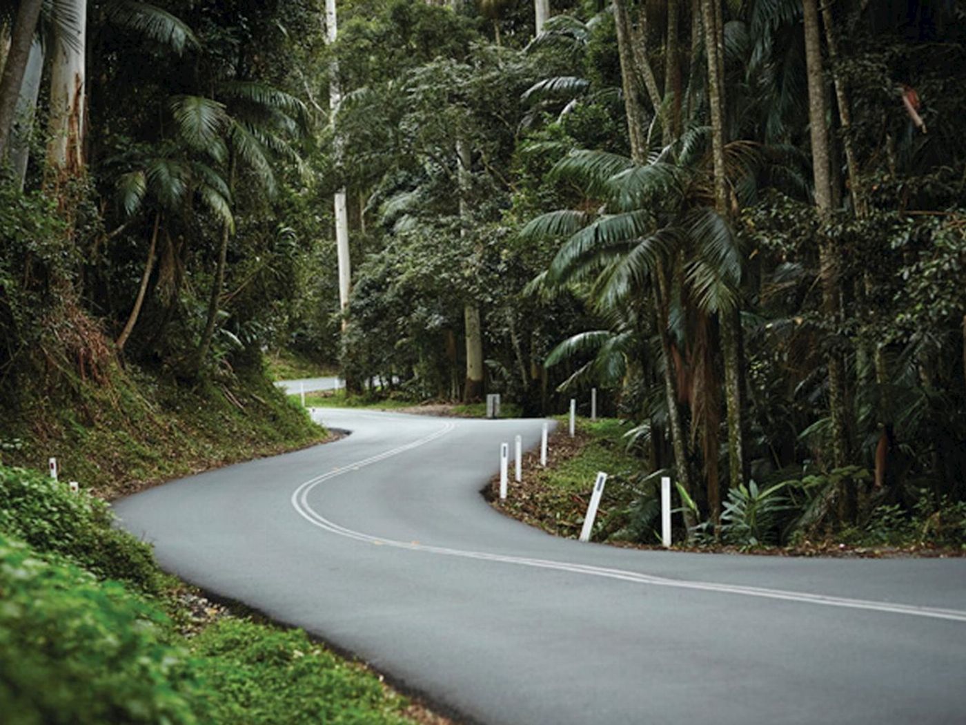 Pineapple Tours Wine Tasting Tour + Hop on Hop off Shuttle - Without lunch Included - From Gold Coast