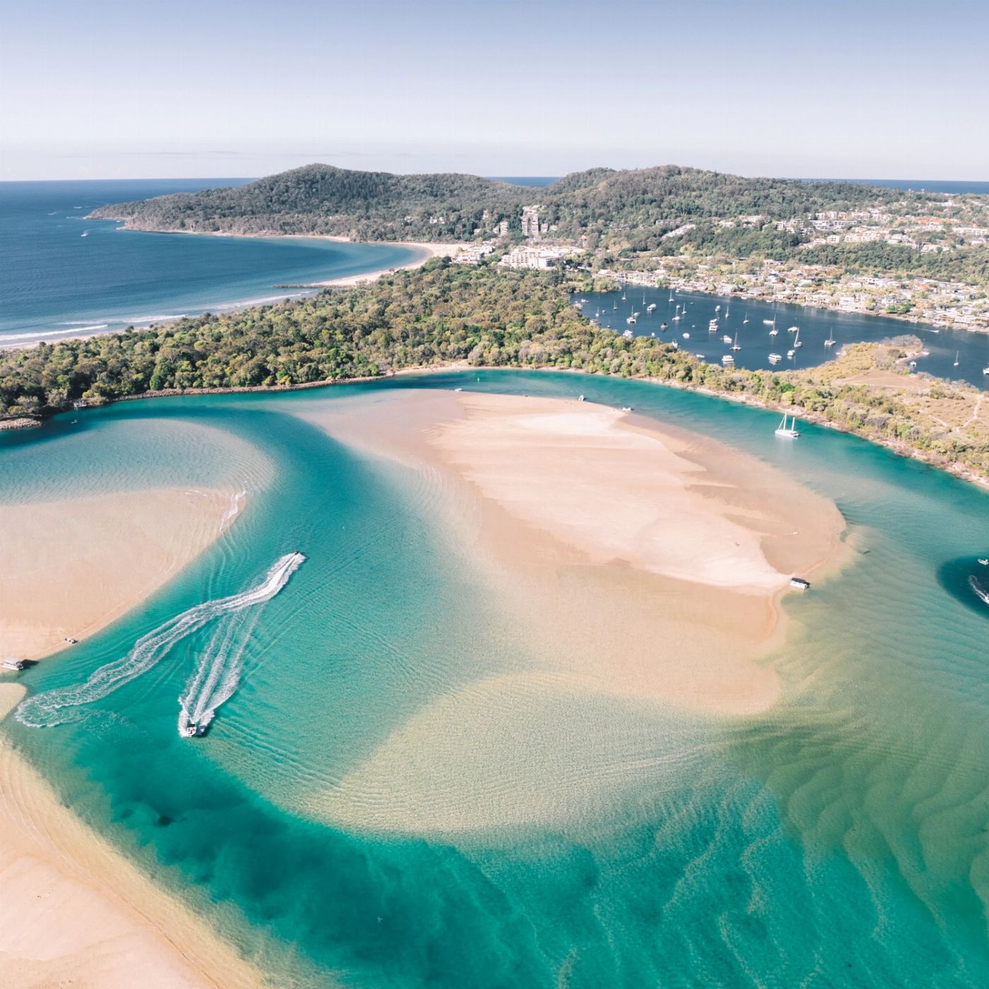 Noosa Ocean Adventures - Dolphins