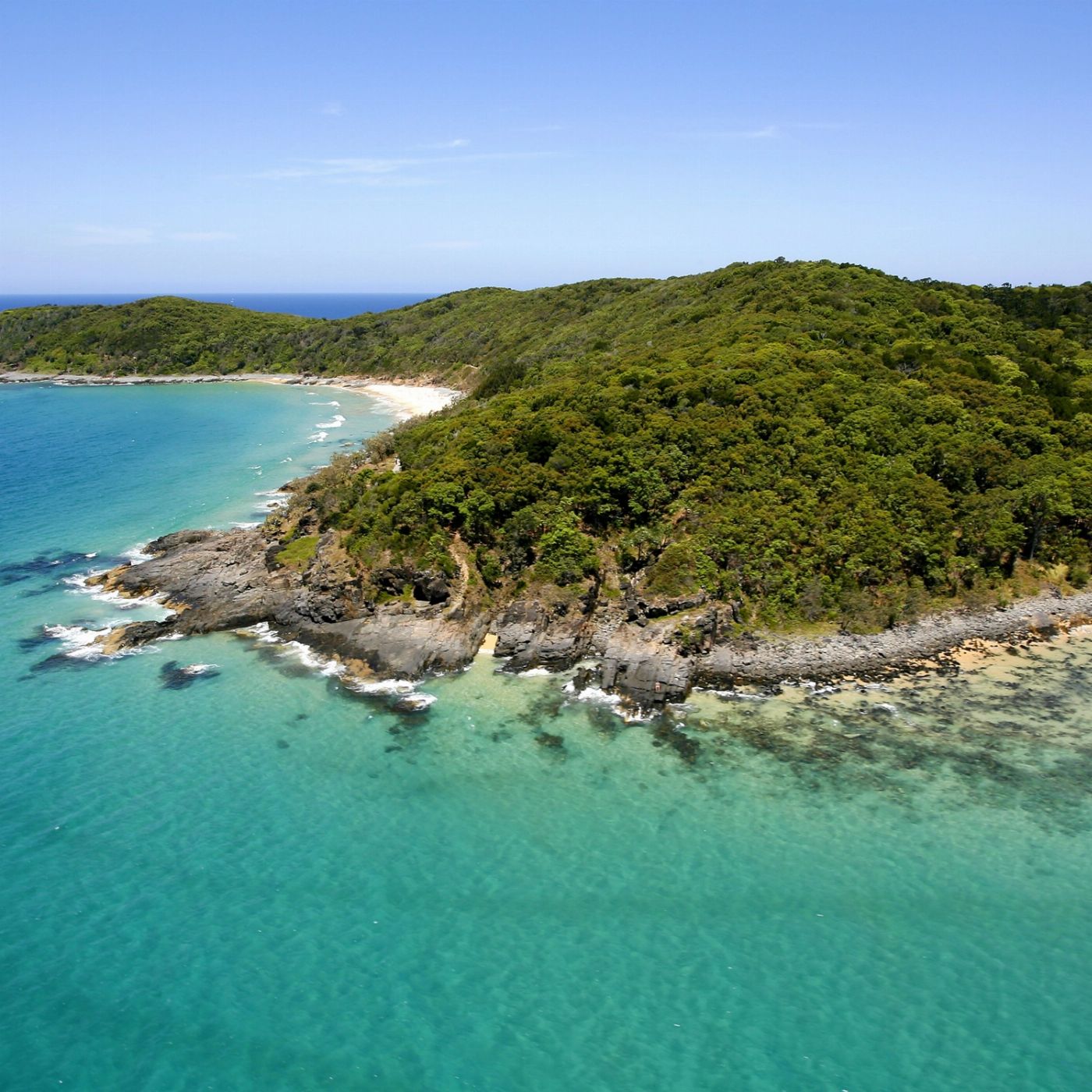Noosa Ocean Adventures - Dolphins