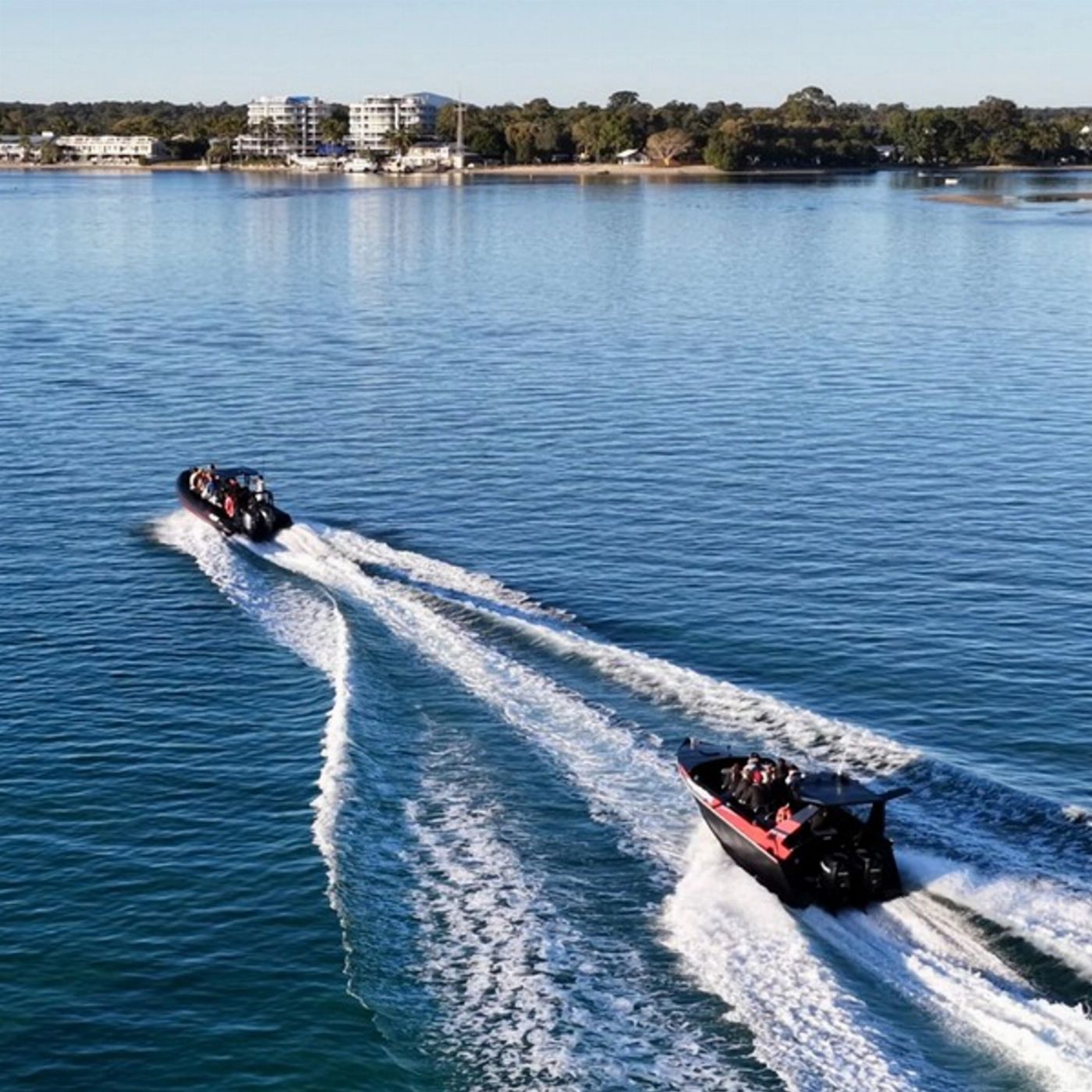 Noosa Ocean Adventures - Dolphins