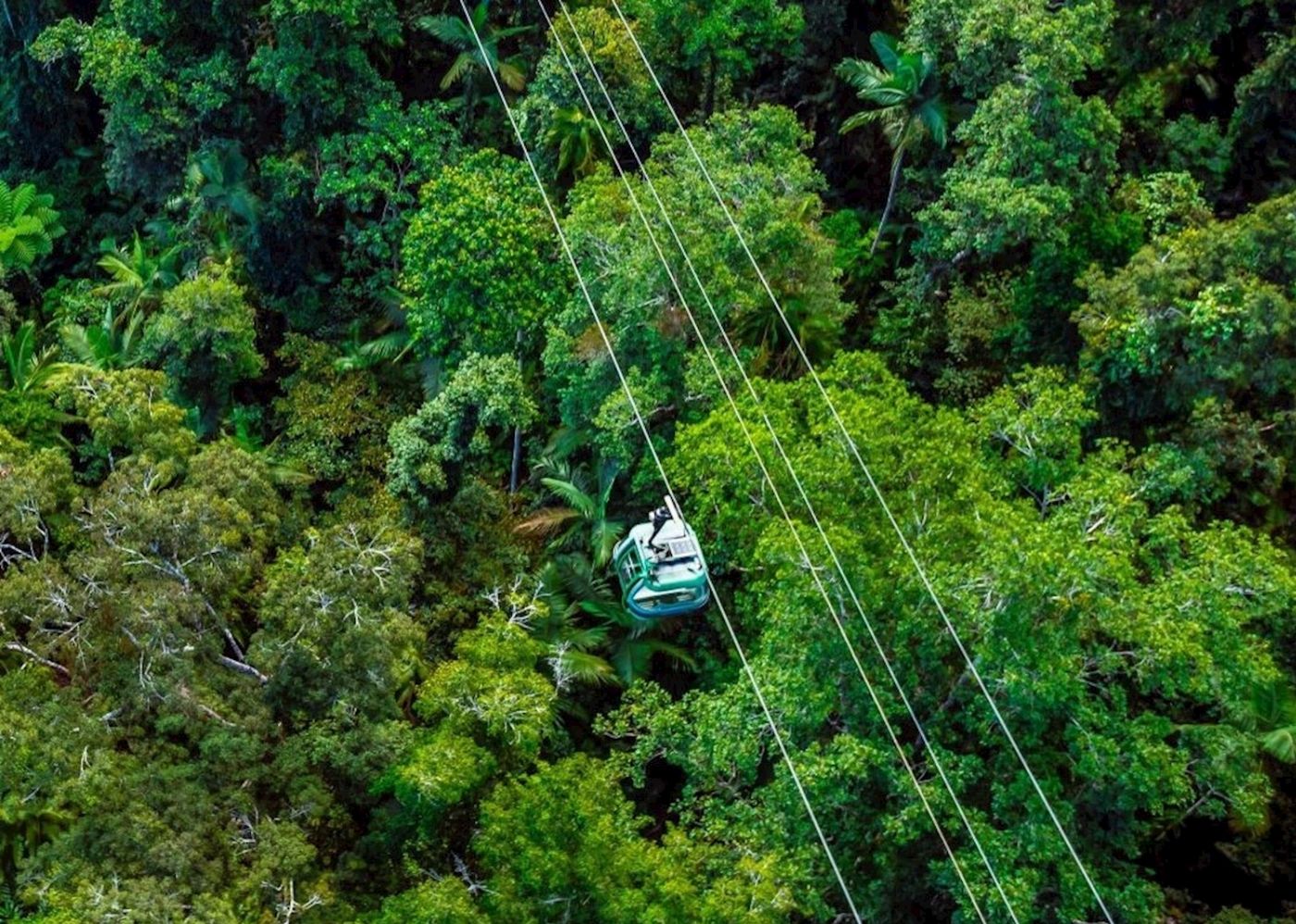 Down Under Tours Kuranda, Scenic Rail Gold Class (09:50am), Skyrail (3:45pm) incl. Return Port Douglas Transfers