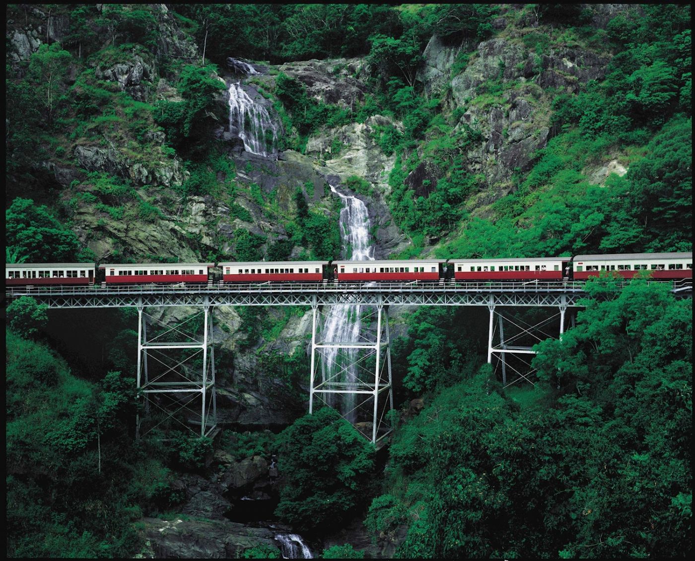Down Under Tours Kuranda, Scenic Rail Gold Class (09:50am), Skyrail (3:45pm) incl. return Northern Beaches Transfers