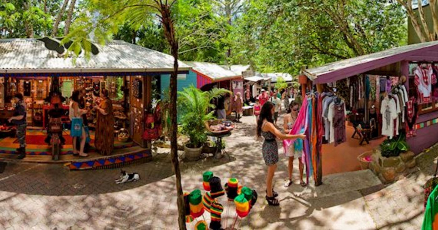 Down Under Tours Kuranda, Skyrail (9:45am), Scenic Rail (3:30pm) incl Return Northern Beaches Transfers
