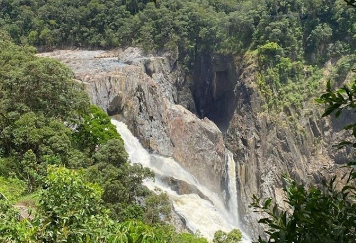 Down Under Tours Wetlands, Waterfall and Skyrail departing Port Douglas WWS XP