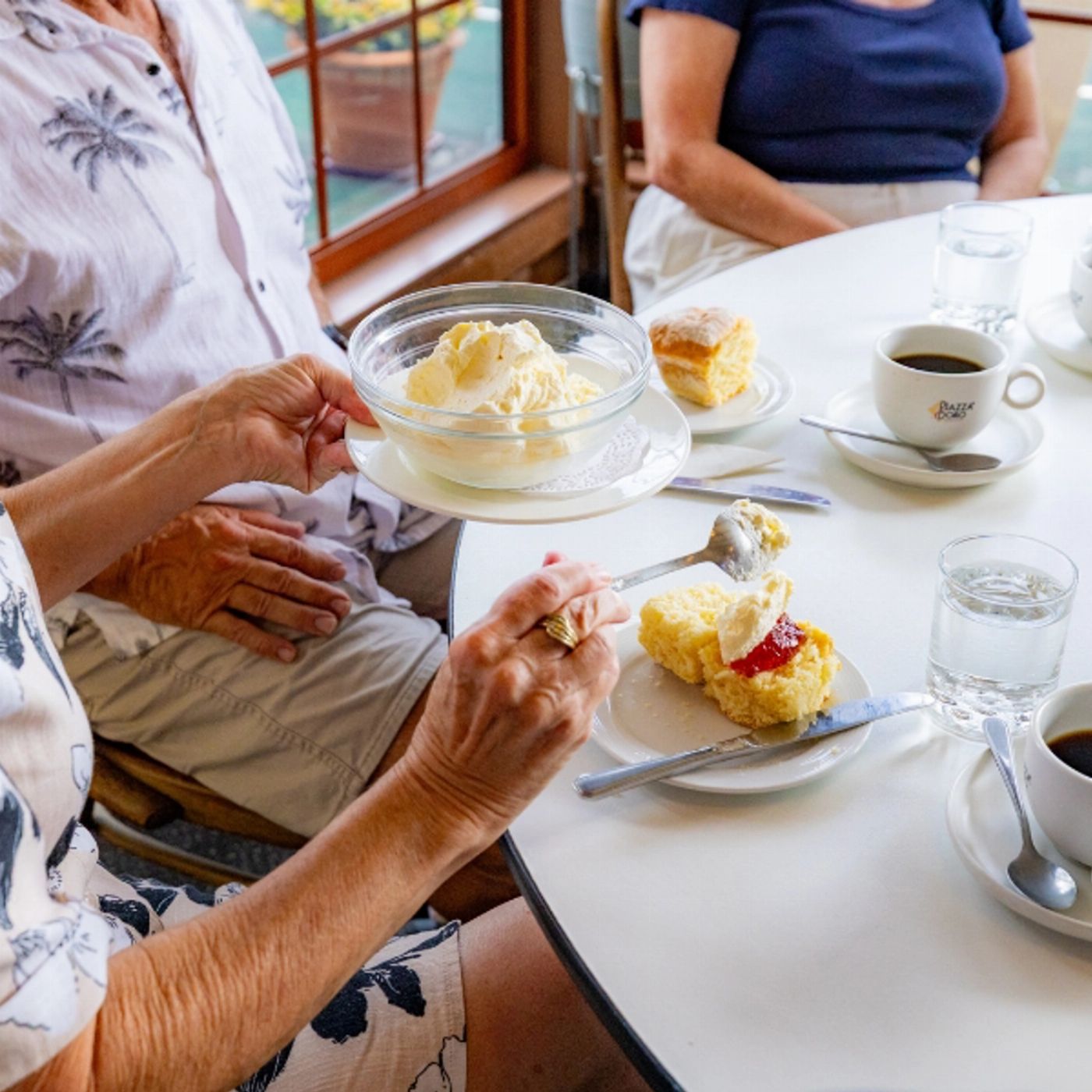 Southern Cross Tours Kangaroos, Koalas & Tamborine Mountain Views