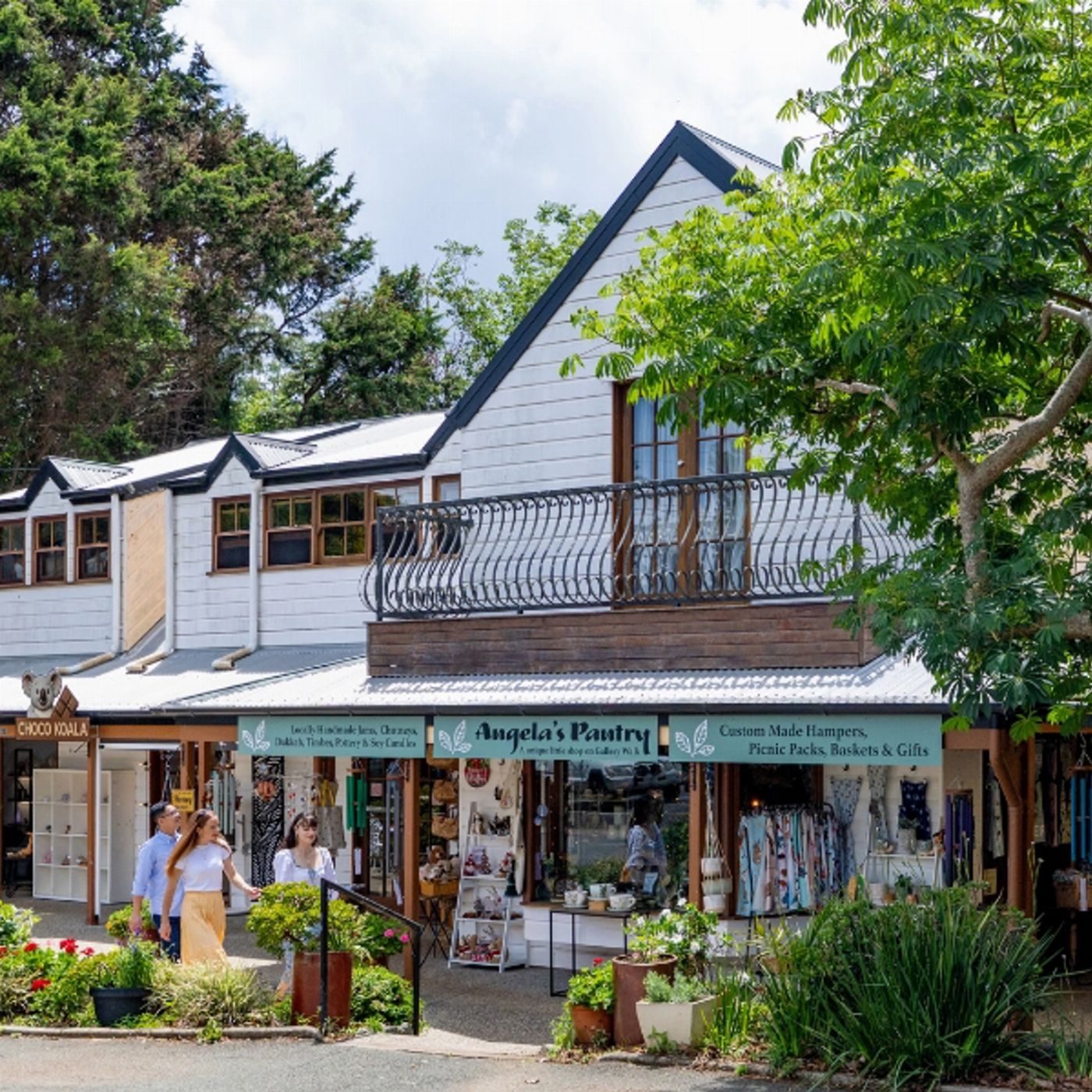 Southern Cross Tours Kangaroos, Koalas & Tamborine Mountain Views
