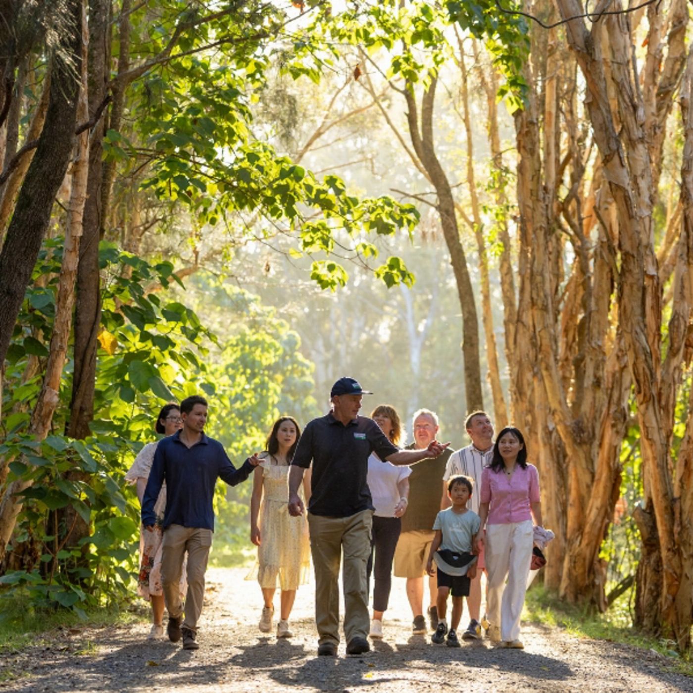Southern Cross Tours Kangaroos, Koalas & Tamborine Mountain Views