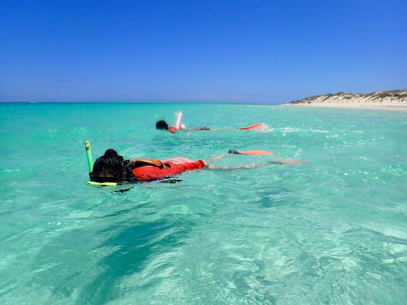 Exmouth Adventure Co Ningaloo Reef Snorkel Adventure