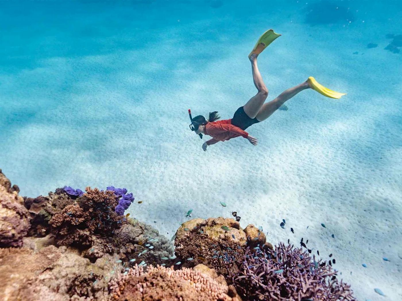 Exmouth Adventure Co Ningaloo Reef Snorkel Adventure