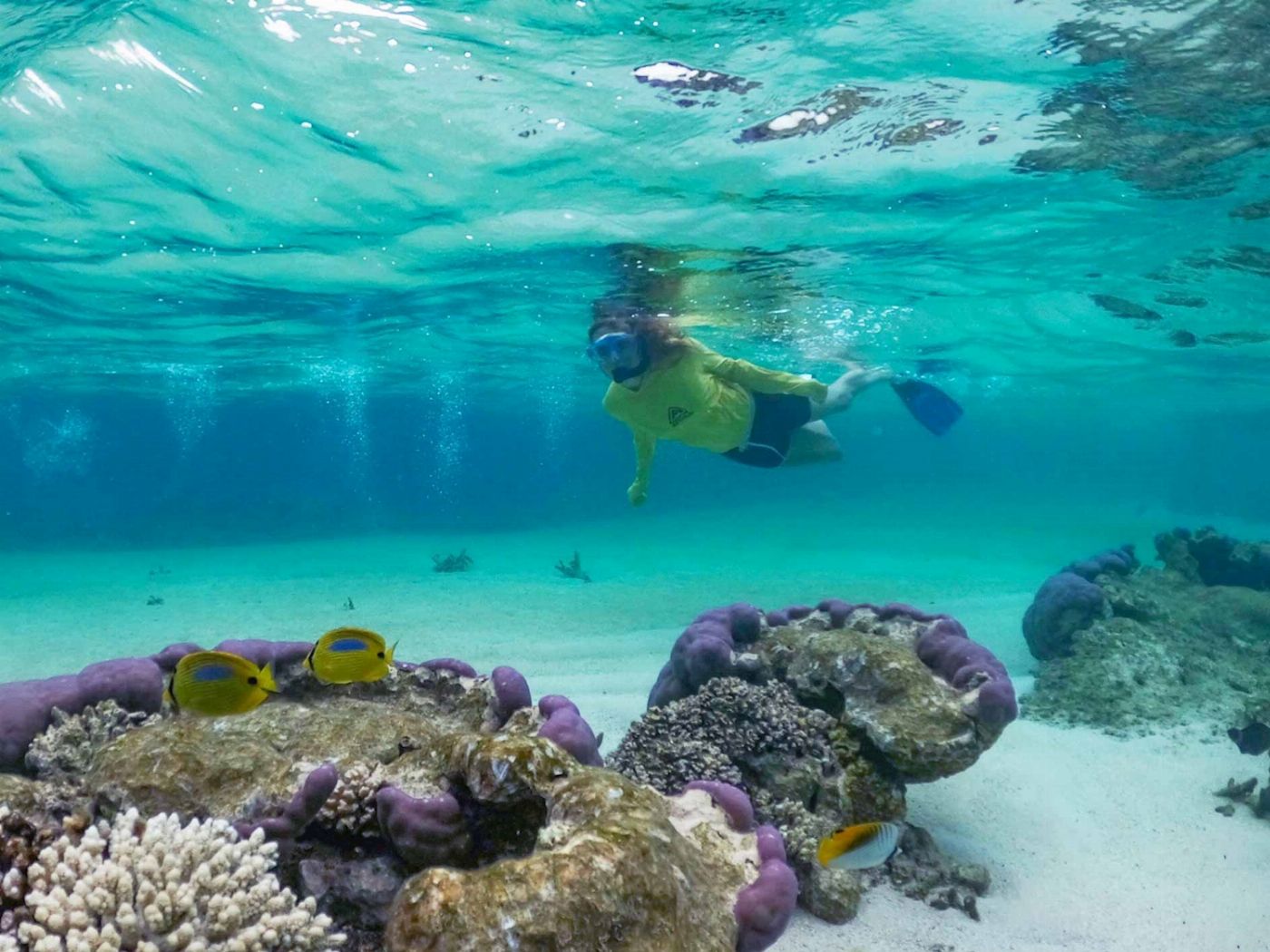 Exmouth Adventure Co Coral By Kayak