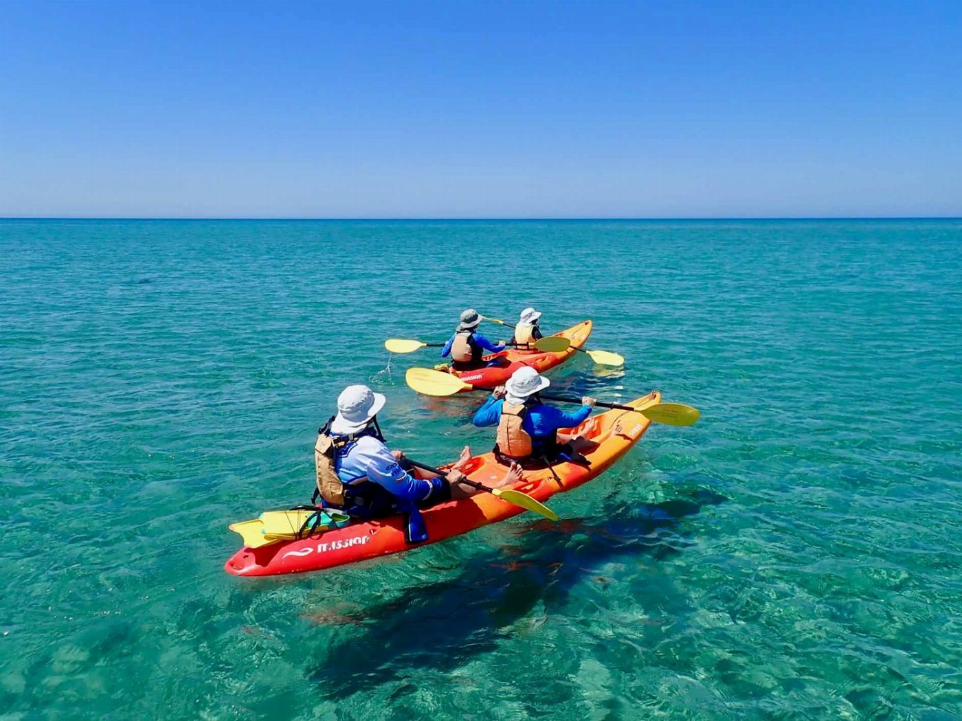 Exmouth Adventure Co Coral By Kayak