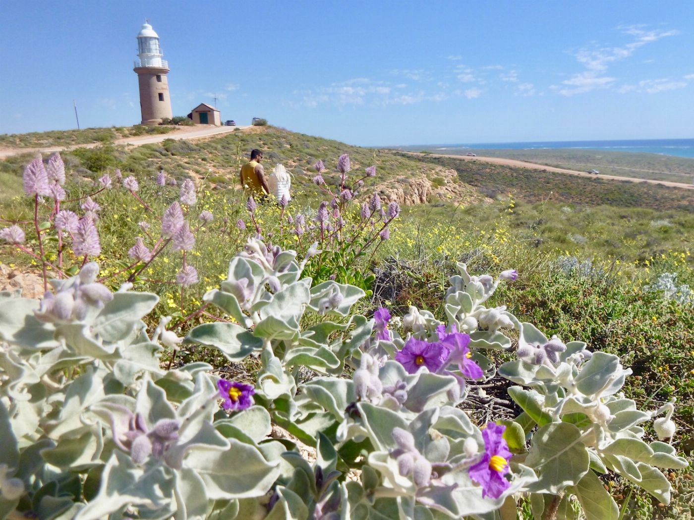 Exmouth Adventure Co Ningaloo in a Day Safari