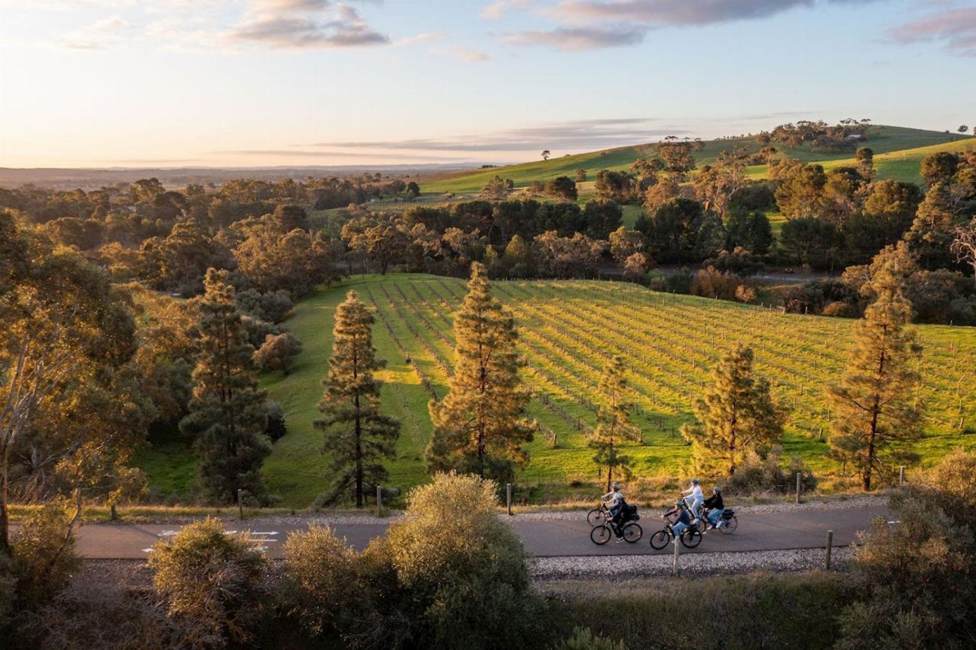 Bike About 'Experience Barossa' Gourmet Food & Wine E-bike Tour