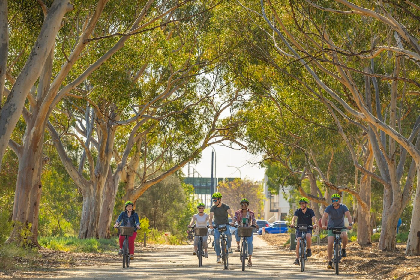 Bike About Adelaide City Scenic Electric Bike Tour