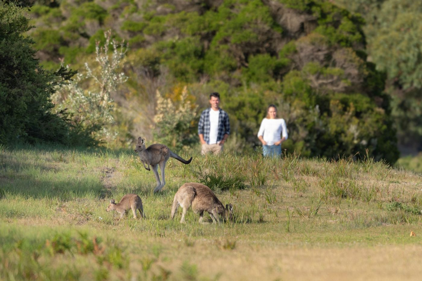 Explore Australia Explore Wilsons Promontory Wilderness Tour