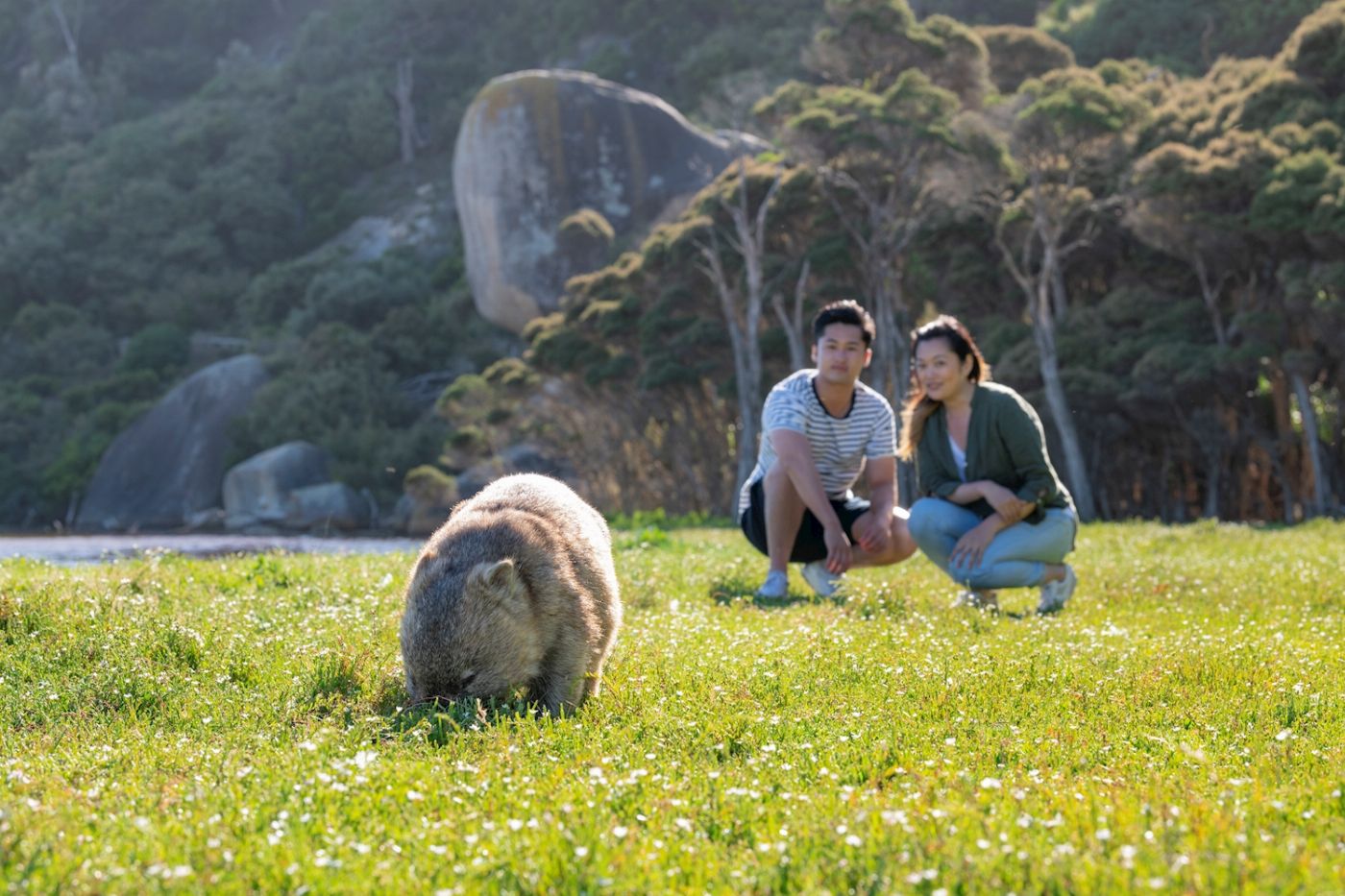 Explore Australia Explore Wilsons Promontory Wilderness Tour