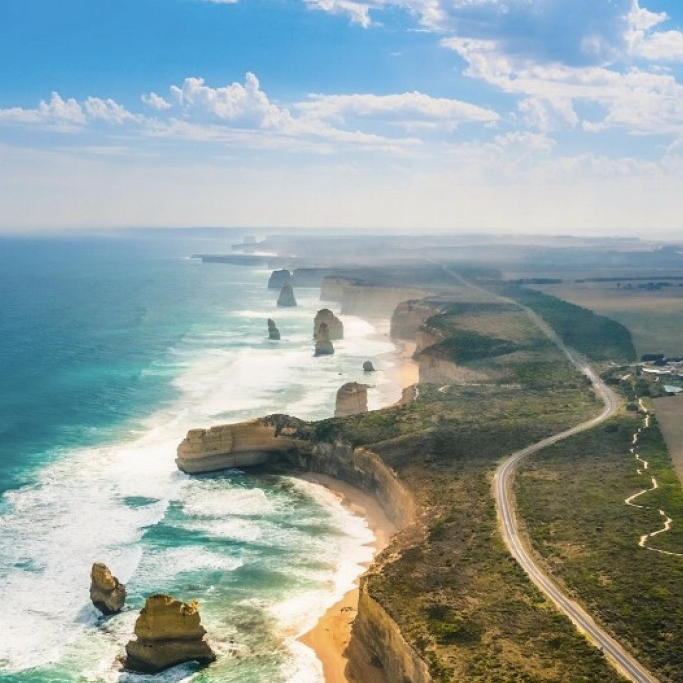 Wine Hop And Coastal Tours Great Ocean Road Bus Tour Including 12 Apostles, Forest Walk, Koalas & more