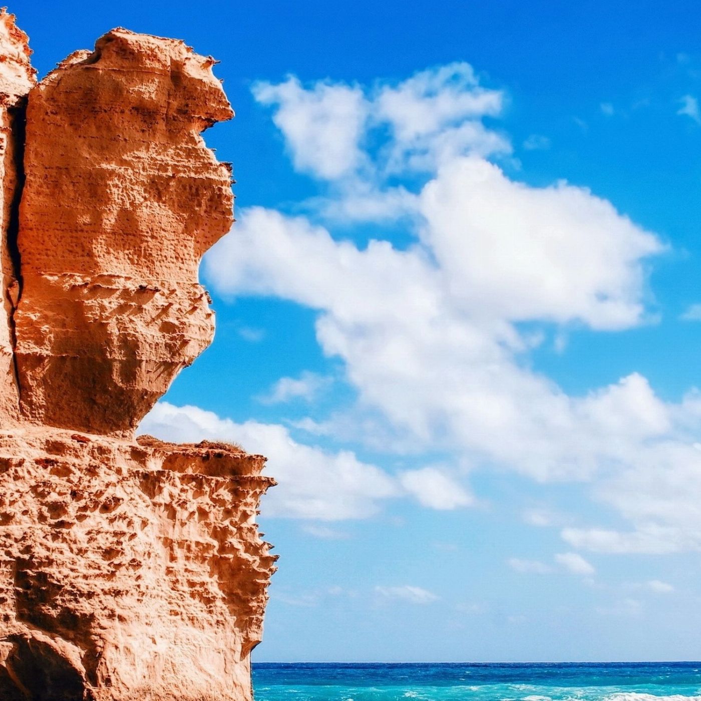 Wine Hop And Coastal Tours Great Ocean Road Bus Tour Including 12 Apostles, Forest Walk, Koalas & more