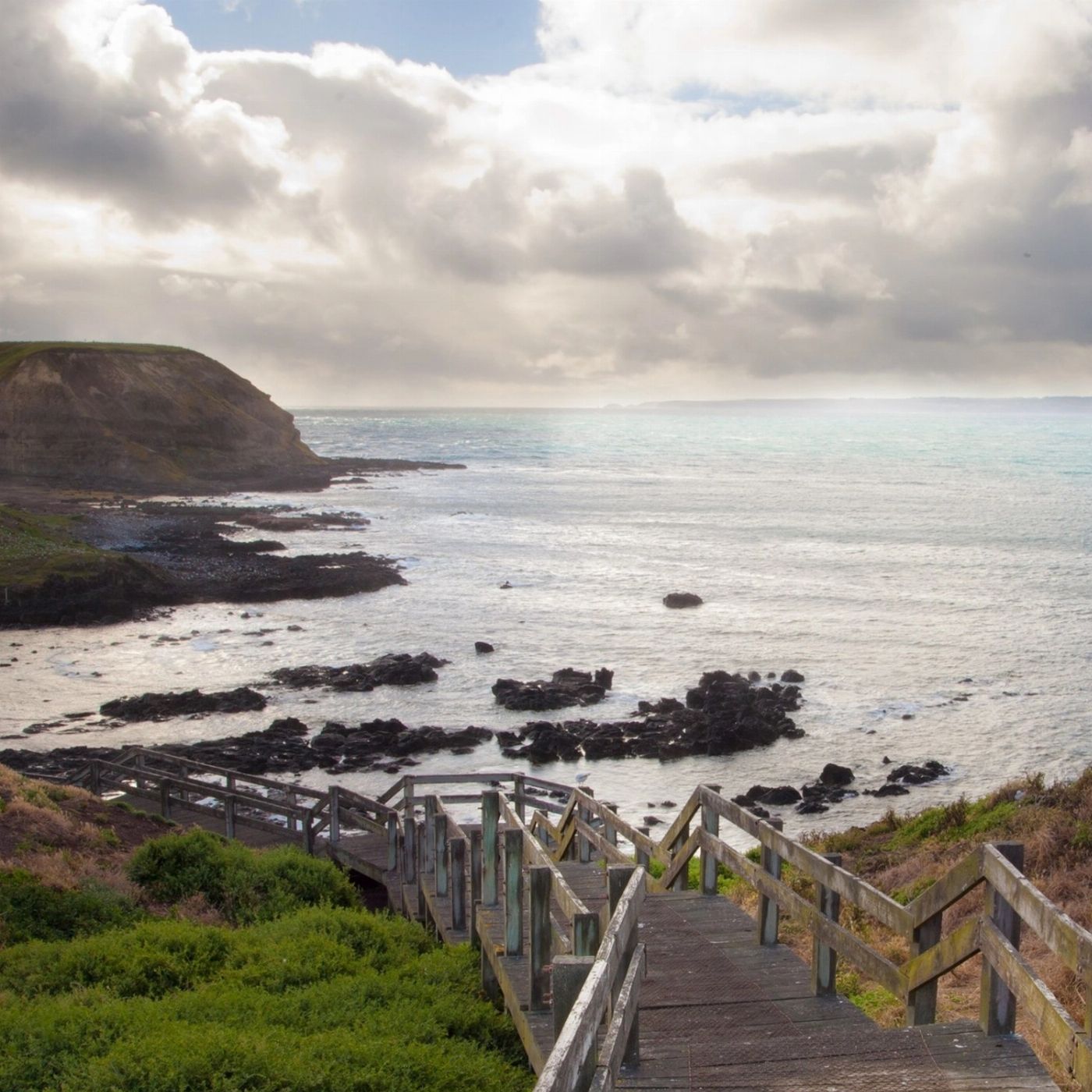 Wine Hop And Coastal Tours Phillip Island Wildlife And Brighton Beach Boxes Bus Tour
