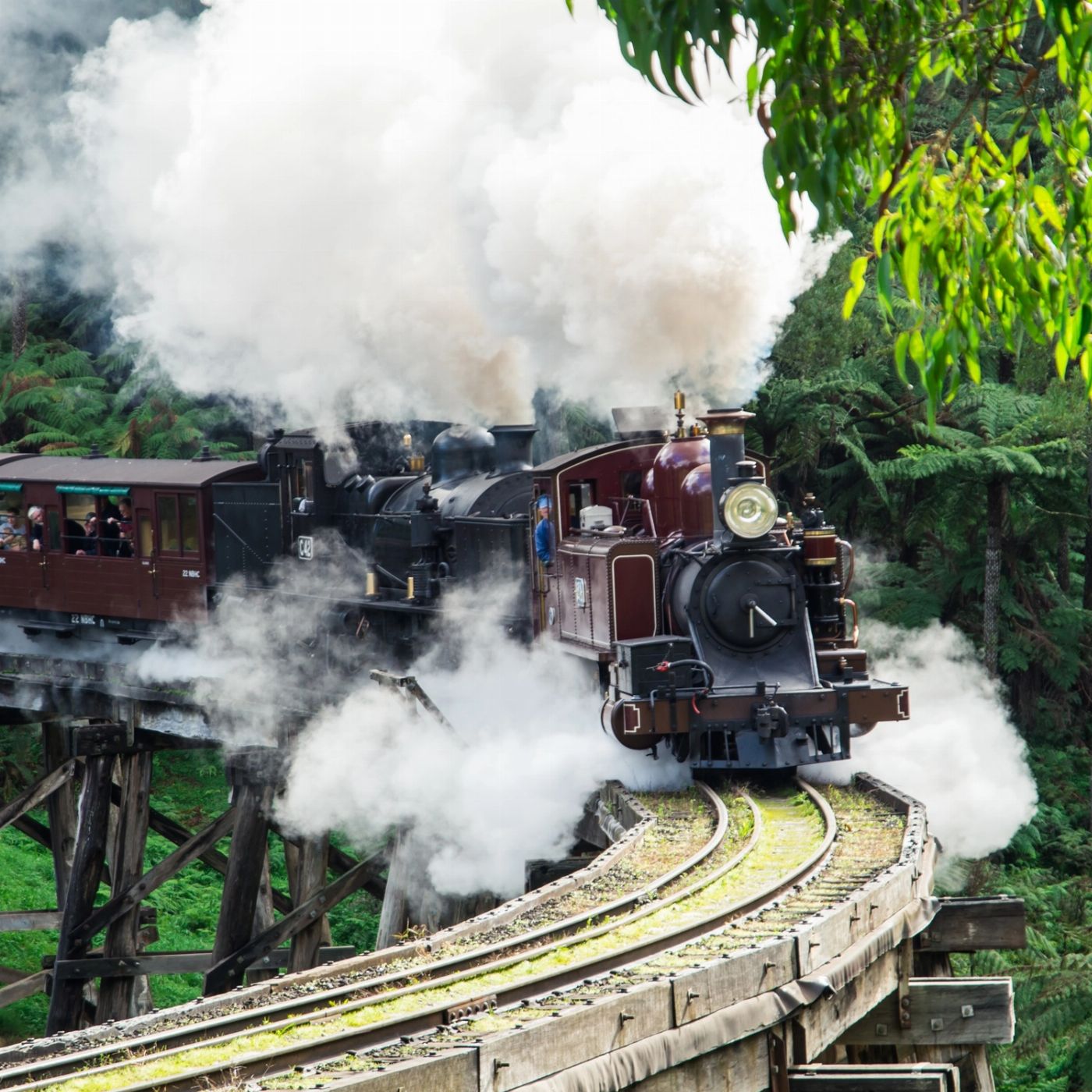 Wine Hop And Coastal Tours Puffing Billy And Healesville Sanctuary Scenic Bus Tour