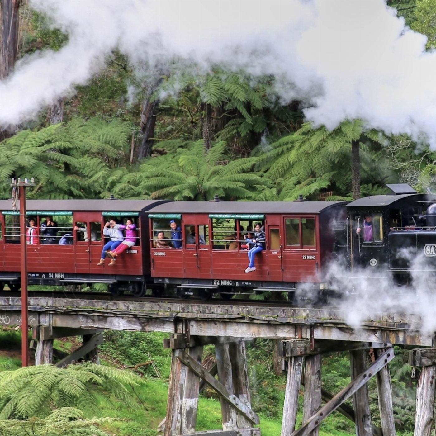 Wine Hop And Coastal Tours Puffing Billy And Healesville Sanctuary Scenic Bus Tour