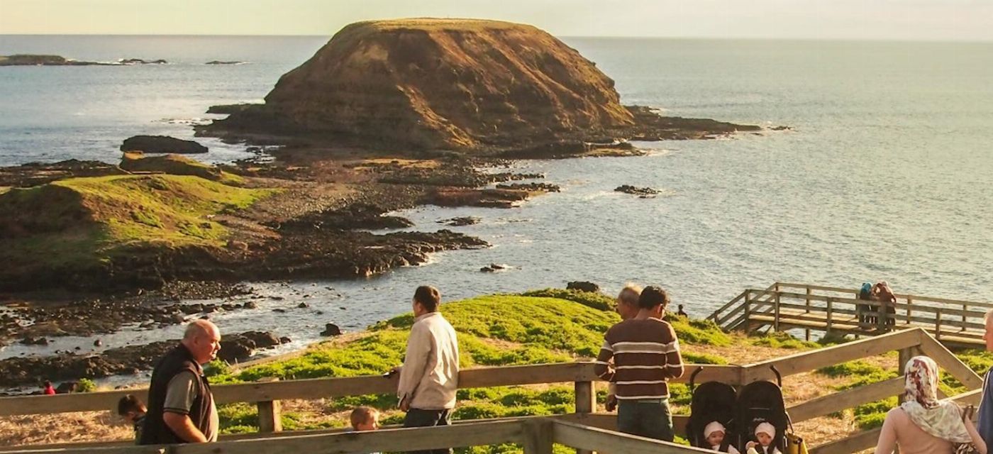 Wine Hop And Coastal Tours Puffing Billy And Phillip Island Penguin Parade Bus Tour