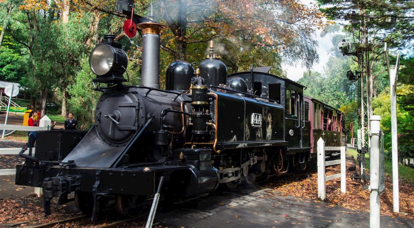Wine Hop And Coastal Tours Puffing Billy And Phillip Island Penguin Parade Bus Tour