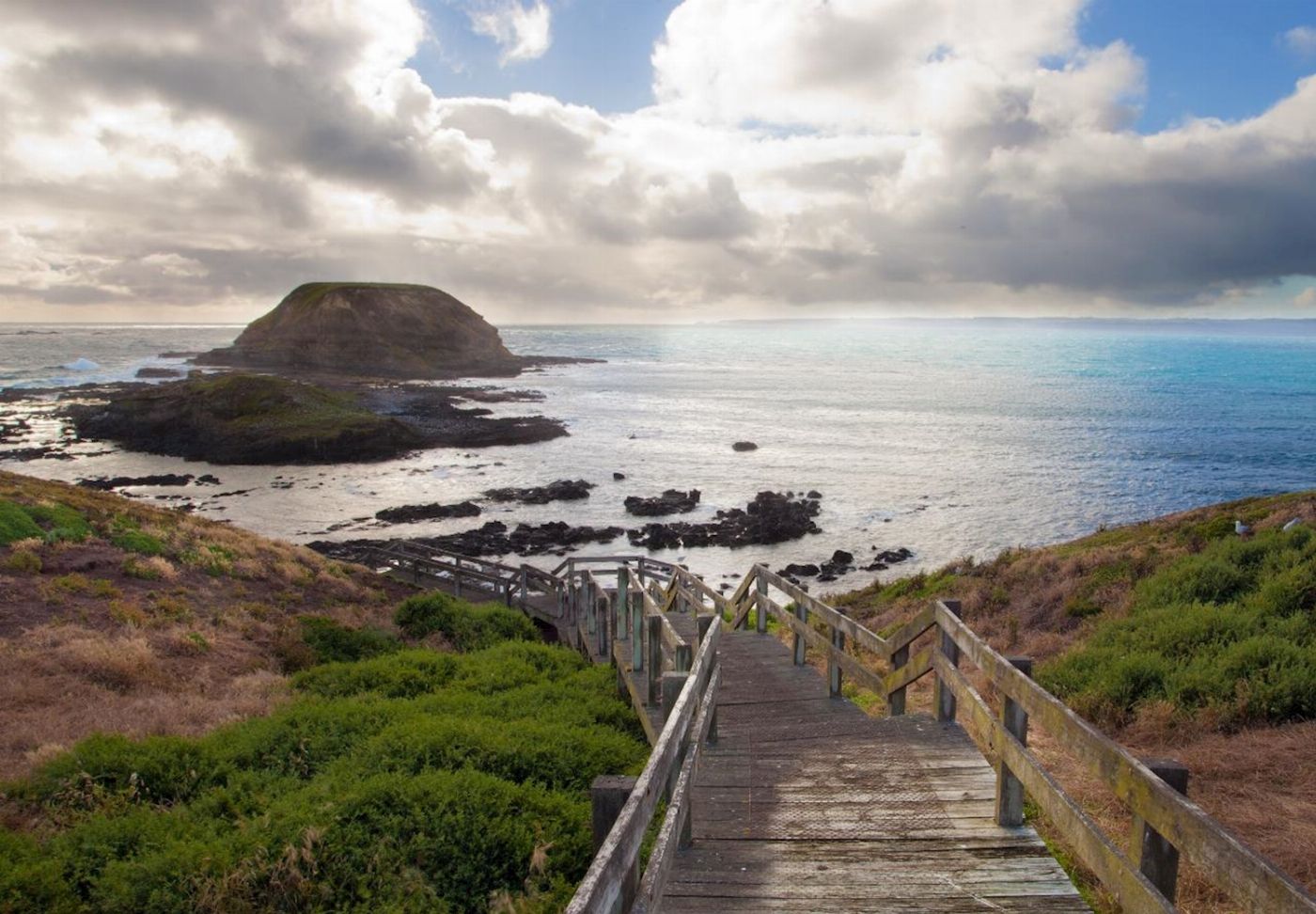 Wine Hop And Coastal Tours Puffing Billy And Phillip Island Penguin Parade Bus Tour