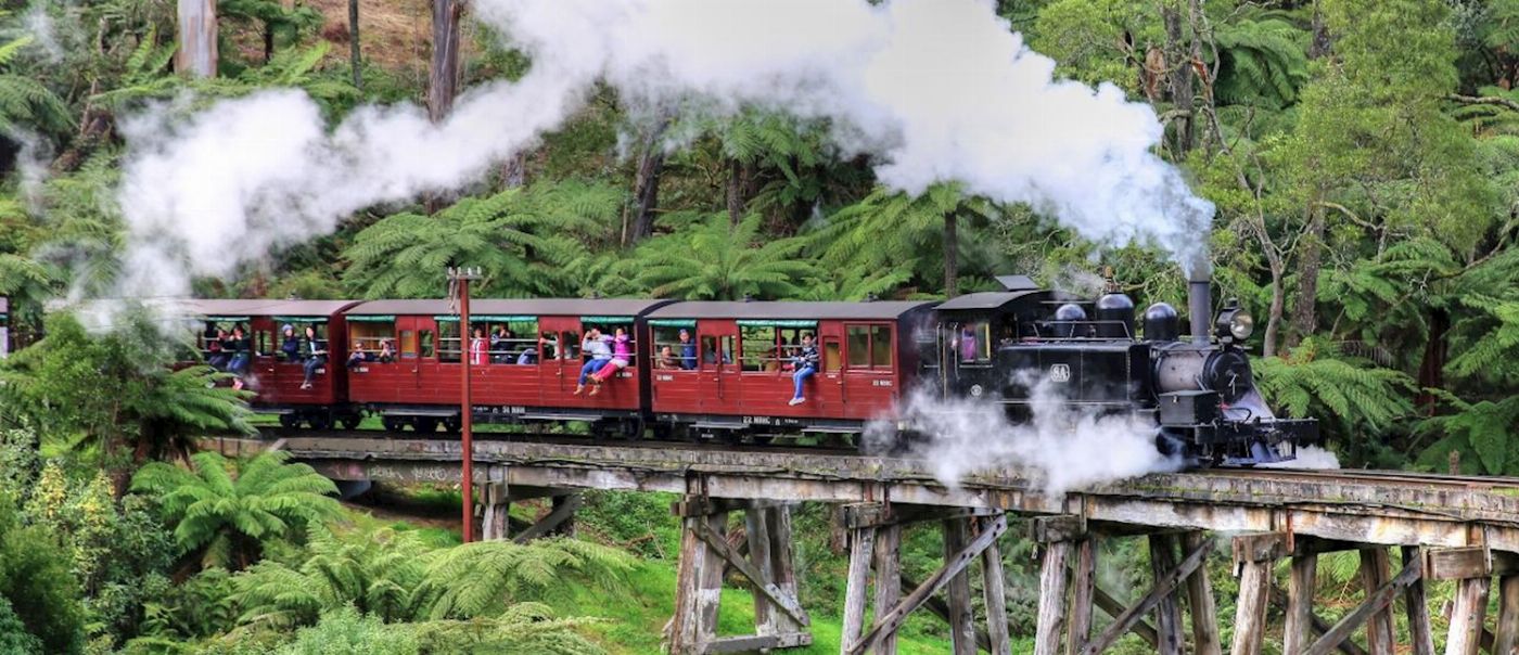 Wine Hop And Coastal Tours Puffing Billy And Phillip Island Penguin Parade Bus Tour