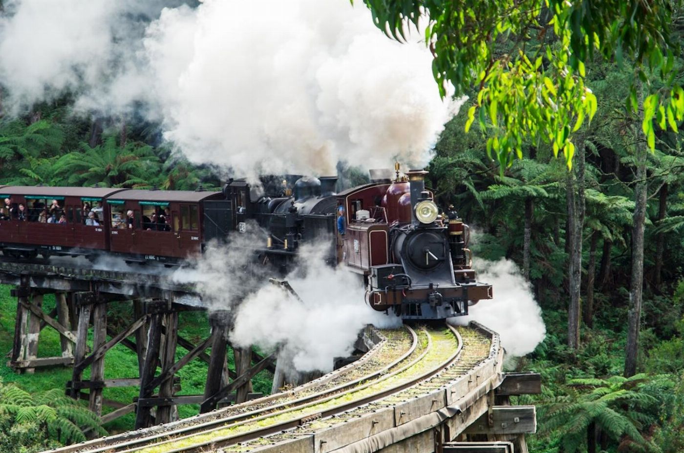 Wine Hop And Coastal Tours Puffing Billy And Phillip Island Penguin Parade Bus Tour
