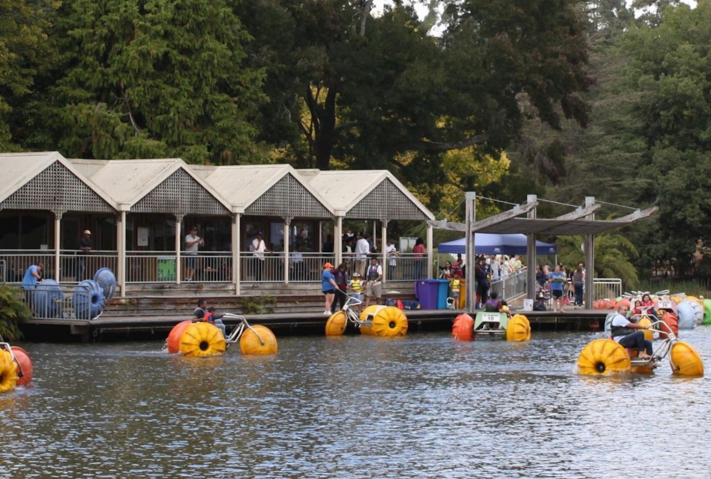 Wine Hop And Coastal Tours Puffing Billy And Phillip Island Penguin Parade Bus Tour